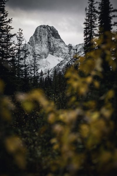 Rugged snow dusted peak above dark evergreens, framed by blurred golden autumn leaves.