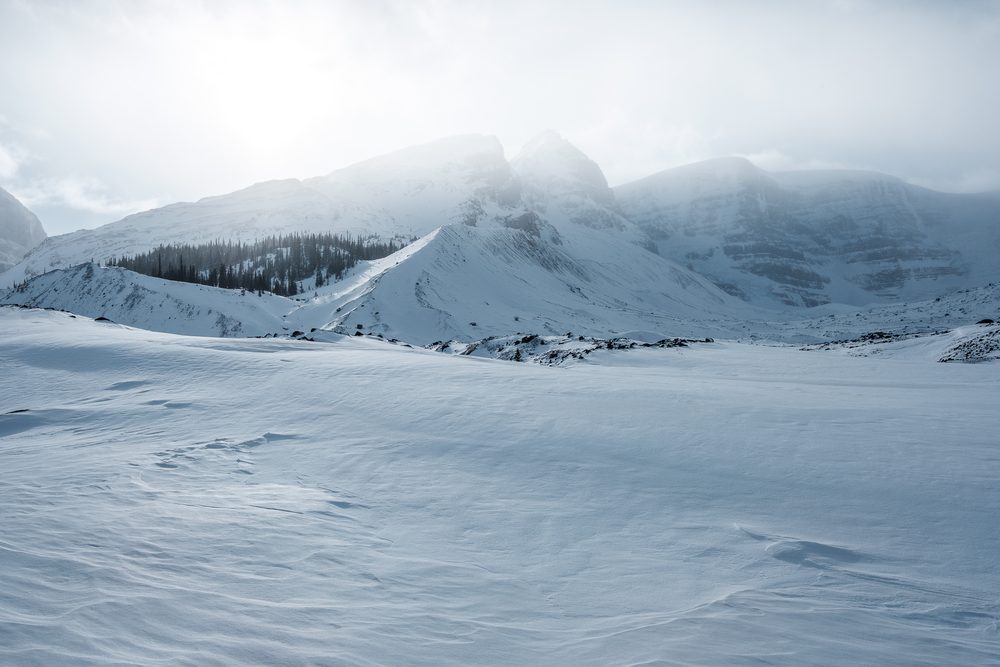 A flat snowfield stretching to a dark line of trees at the foot of hazy mountains.