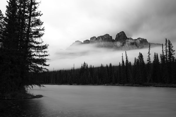 Black and white misty range above calm water with a tall dark evergreen on the left.