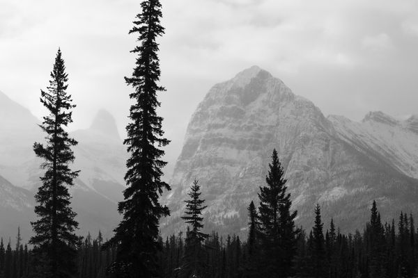 Black and white snow dusted peak framed by tall dark evergreens.