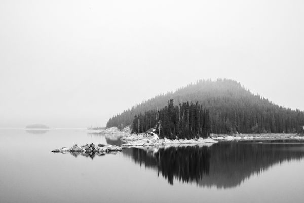 Black and white still lake with a forested peninsula and its reflection.