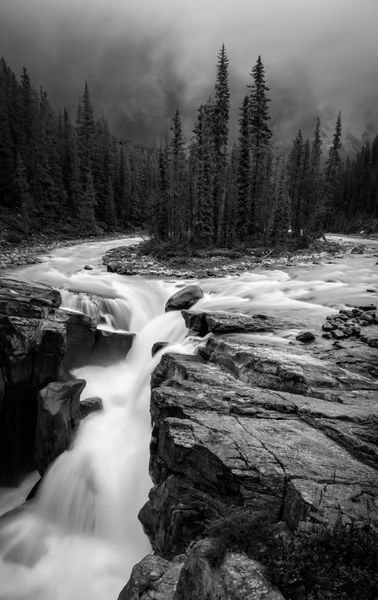 Black and white long exposure waterfall with a tree covered island above the drop.