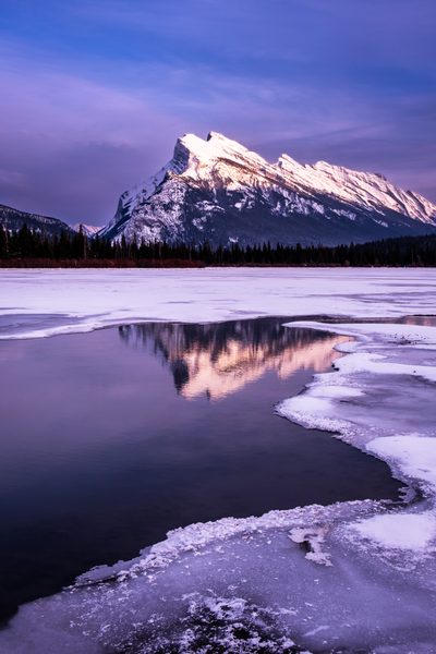 Snow covered peak catching light while the ice below stays purple and open water holds the reflection.